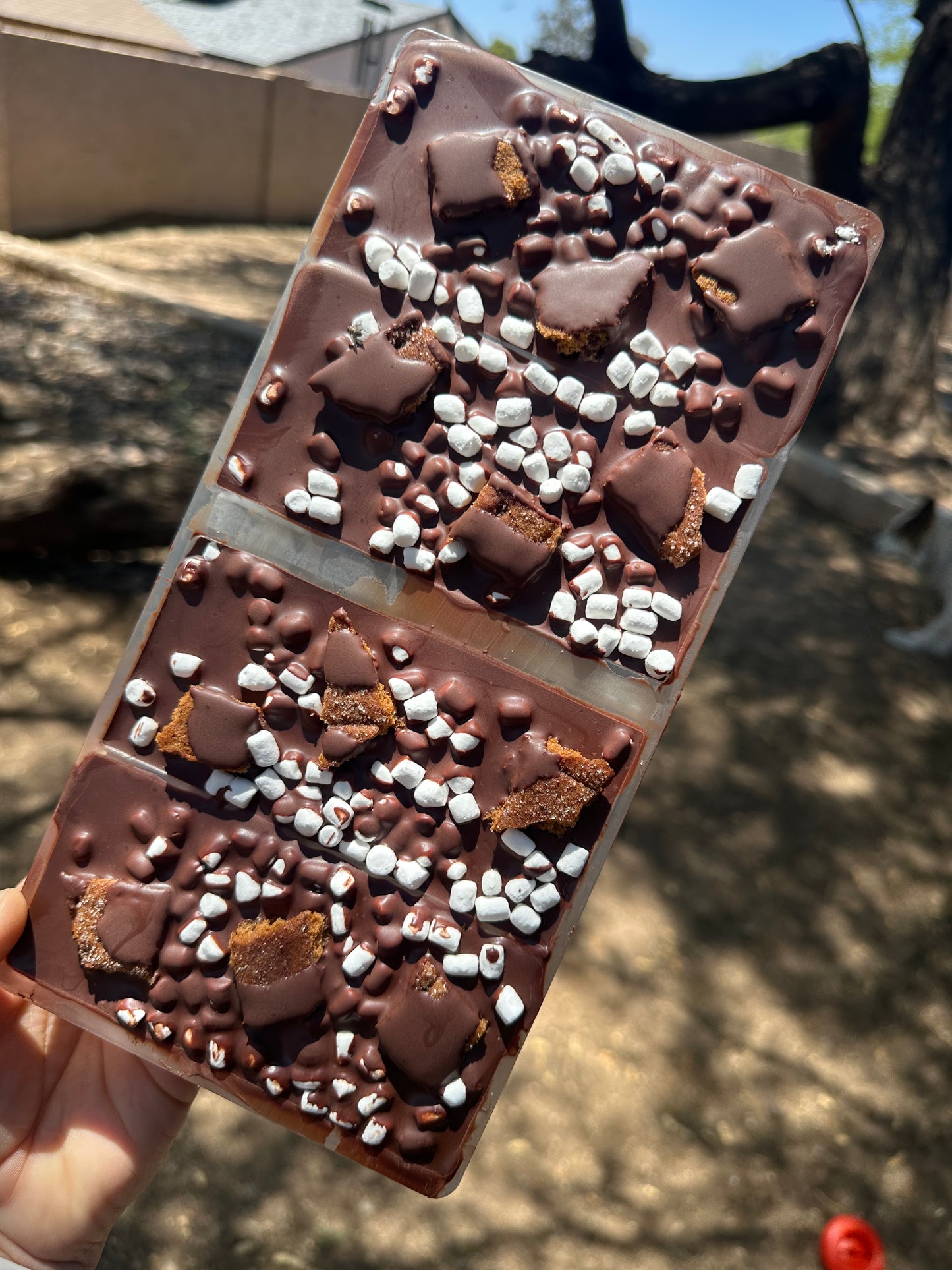 Campfire S'mores
